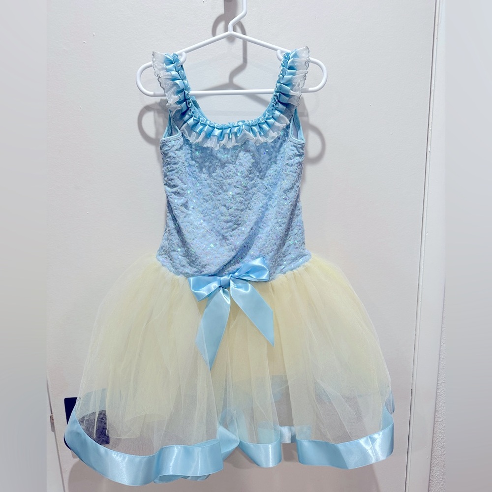 Evolution Dance Costume Cinderella